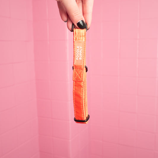 Martingale Collar Candy Satin - Mango Tango