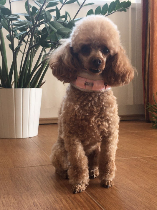 Cute little happy customer <3