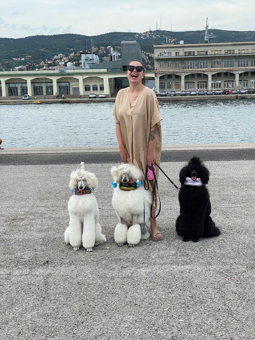 Poodle Supply gang in Italy