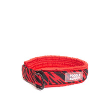 Načíst obrázek do prohlížeče Galerie, Small / Medium / Large Martingale Collar Poodle Supply Red Zebra
