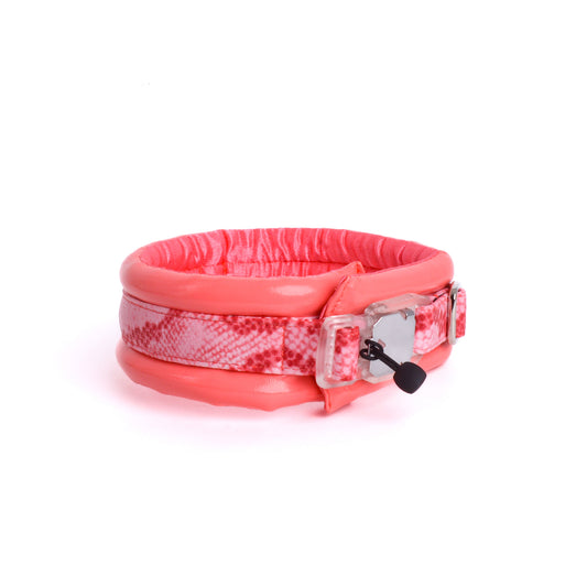 Toy / Miniature / Medium Compact Magnetic Collar Coral