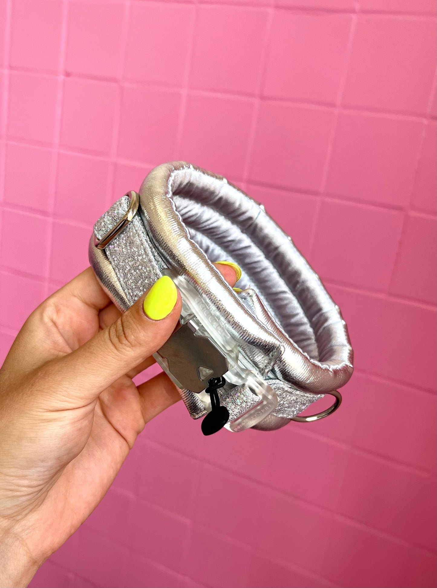 Toy / Miniature / Medium Compact Magnetic Collar Frozen