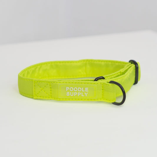 Martingale Collar Candy Satin - Citrus Splash - 2cm