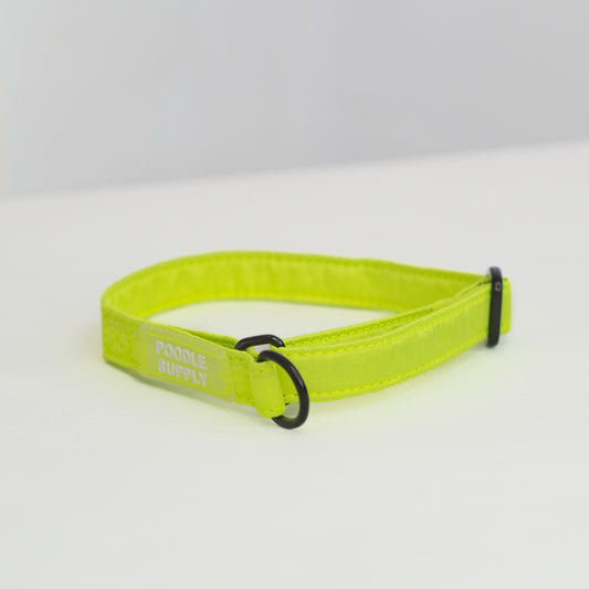 Martingale Collar Candy Satin - Citrus Splash - 1,5cm