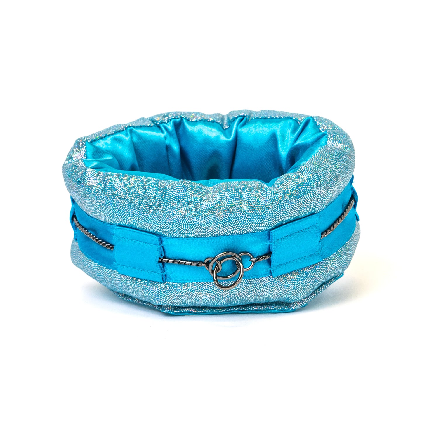 Miniature Collar Poodle Supply All Blue Everything Holographic