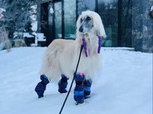 Load image into Gallery viewer, Poodle Supply Set 4 Leg Protectors for AFGHAN HOUND
